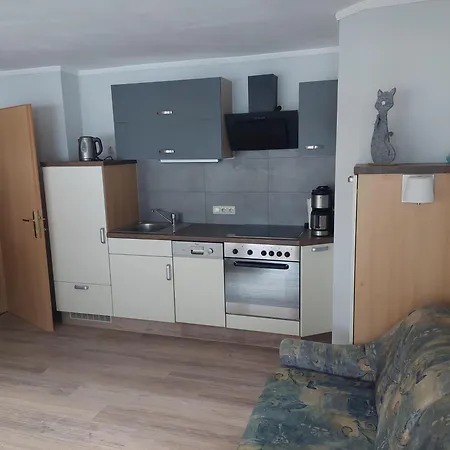 Haus Holzer מלון *